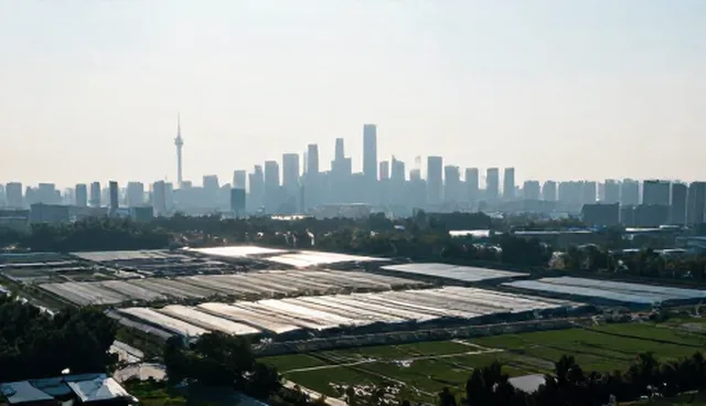 行业精准检索如何提升企业名录查询效率